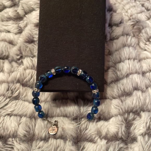 Barely worn Alex and Ani +Energy series adjustable bracelet. Blue and silver - Picture 7 of 7